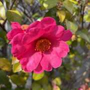 ヒメ日記 2026/04/17 09:46 投稿 藤原 HERMINE-エルミネ-