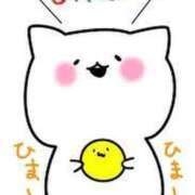 ヒメ日記 2025/08/29 09:51 投稿 まりな 奥様特急長岡店