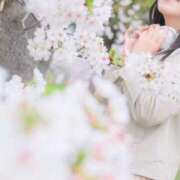 ヒメ日記 2025/03/29 00:09 投稿 白石 すみれ カサノヴァ