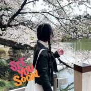 ヒメ日記 2025/04/11 18:09 投稿 白石 すみれ カサノヴァ