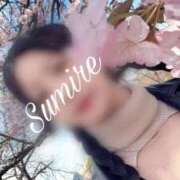 ヒメ日記 2025/04/13 11:59 投稿 白石 すみれ カサノヴァ