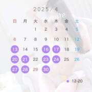 ヒメ日記 2025/04/13 13:19 投稿 白石 すみれ カサノヴァ
