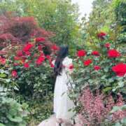 ヒメ日記 2025/06/10 20:59 投稿 白石 すみれ カサノヴァ