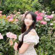 ヒメ日記 2025/07/22 18:49 投稿 白石 すみれ カサノヴァ