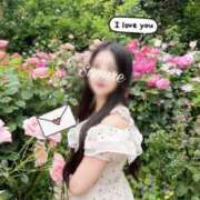 ヒメ日記 2025/08/24 12:24 投稿 白石 すみれ カサノヴァ