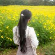 ヒメ日記 2025/10/09 20:39 投稿 白石 すみれ カサノヴァ