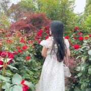 ヒメ日記 2025/10/11 10:09 投稿 白石 すみれ カサノヴァ