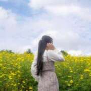 ヒメ日記 2025/10/28 11:20 投稿 白石 すみれ カサノヴァ