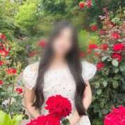 ヒメ日記 2025/11/19 12:09 投稿 白石 すみれ カサノヴァ