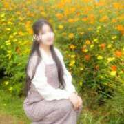 ヒメ日記 2025/11/21 07:39 投稿 白石 すみれ カサノヴァ