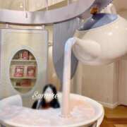 ヒメ日記 2025/11/30 12:15 投稿 白石 すみれ カサノヴァ