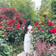 ヒメ日記 2025/12/21 16:49 投稿 白石 すみれ カサノヴァ