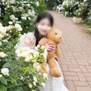 ヒメ日記 2025/12/23 10:09 投稿 白石 すみれ カサノヴァ