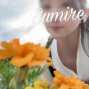 ヒメ日記 2025/12/27 23:19 投稿 白石 すみれ カサノヴァ