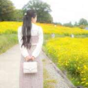 ヒメ日記 2026/01/02 23:59 投稿 白石 すみれ カサノヴァ