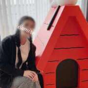 ヒメ日記 2026/01/08 13:49 投稿 白石 すみれ カサノヴァ