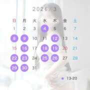 ヒメ日記 2026/02/24 23:19 投稿 白石 すみれ カサノヴァ