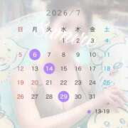 ヒメ日記 2026/06/23 08:00 投稿 白石 すみれ カサノヴァ