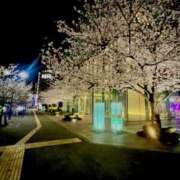 ヒメ日記 2025/04/03 21:33 投稿 なお 即トク奥さん