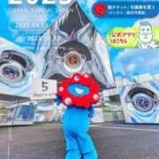 ヒメ日記 2025/04/08 21:57 投稿 なお 即トク奥さん