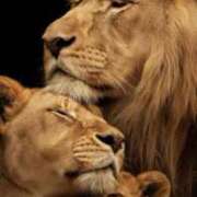 ヒメ日記 2025/06/01 08:55 投稿 なお 即トク奥さん