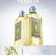 ヒメ日記 2025/07/03 11:19 投稿 なお 即トク奥さん