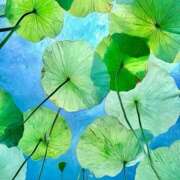 ヒメ日記 2025/07/18 05:52 投稿 なお 即トク奥さん