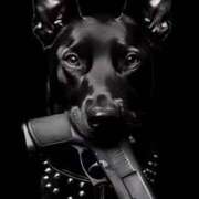 ヒメ日記 2025/07/30 06:51 投稿 なお 即トク奥さん