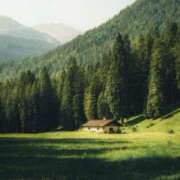 ヒメ日記 2025/11/29 09:30 投稿 なお 即トク奥さん