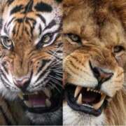 ヒメ日記 2025/11/30 18:14 投稿 なお 即トク奥さん