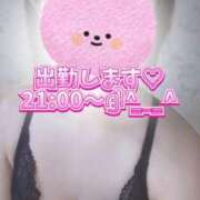 ヒメ日記 2025/10/14 02:26 投稿 地元産/ゆうみ PREMIUMー萌ー