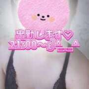 ヒメ日記 2025/10/14 02:41 投稿 地元産/ゆうみ PREMIUMー萌ー