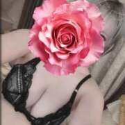 ヒメ日記 2025/11/19 06:05 投稿 地元産/ゆうみ PREMIUMー萌ー