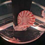 ヒメ日記 2026/03/07 00:15 投稿 地元産/ゆうみ PREMIUMー萌ー