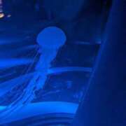 ヒメ日記 2026/03/09 16:45 投稿 地元産/ゆうみ PREMIUMー萌ー