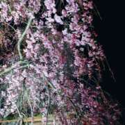 ヒメ日記 2025/04/06 07:03 投稿 じゅんな 熟女の風俗最終章 立川店