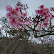 ヒメ日記 2026/02/01 15:23 投稿 じゅんな 熟女の風俗最終章 立川店