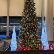 ヒメ日記 2024/12/12 22:38 投稿 星野えめ DEEPS成田店