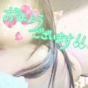 ヒメ日記 2024/12/14 07:45 投稿 星野えめ DEEPS成田店