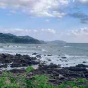 ヒメ日記 2025/01/02 00:16 投稿 りおん 和歌山ちゃんこ