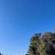 ヒメ日記 2025/01/18 09:15 投稿 りおん 和歌山ちゃんこ