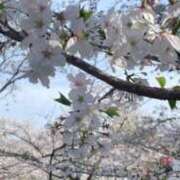 ヒメ日記 2025/03/22 10:40 投稿 りおん 和歌山ちゃんこ