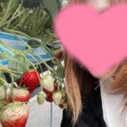 ヒメ日記 2025/05/08 16:39 投稿 りおん 和歌山ちゃんこ