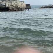 ヒメ日記 2026/02/25 17:13 投稿 りおん 和歌山ちゃんこ