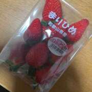 ヒメ日記 2026/04/03 21:34 投稿 りおん 和歌山ちゃんこ