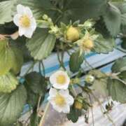 ヒメ日記 2026/04/12 12:32 投稿 りおん 和歌山ちゃんこ