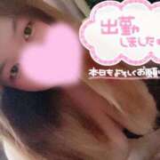 ヒメ日記 2026/06/01 10:35 投稿 りおん 和歌山ちゃんこ