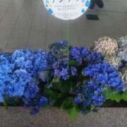 ヒメ日記 2025/05/27 17:28 投稿 本庄みおり 五十路マダムエクスプレス豊橋店（カサブランカグループ）