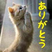 ヒメ日記 2025/06/11 12:54 投稿 本庄みおり 五十路マダムエクスプレス豊橋店（カサブランカグループ）