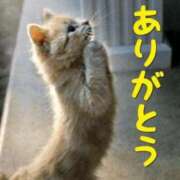 ヒメ日記 2025/07/02 22:48 投稿 本庄みおり 五十路マダムエクスプレス豊橋店（カサブランカグループ）